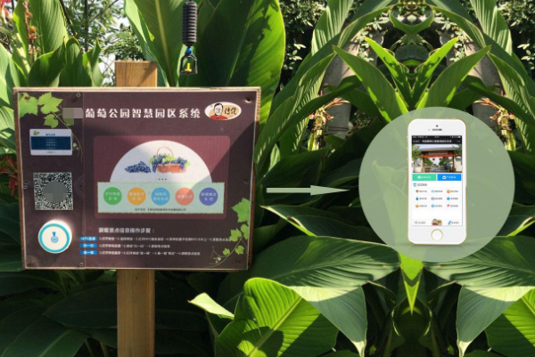 導覽系統(tǒng)二維碼放置 智慧景區(qū)導覽系統(tǒng)二維碼放置